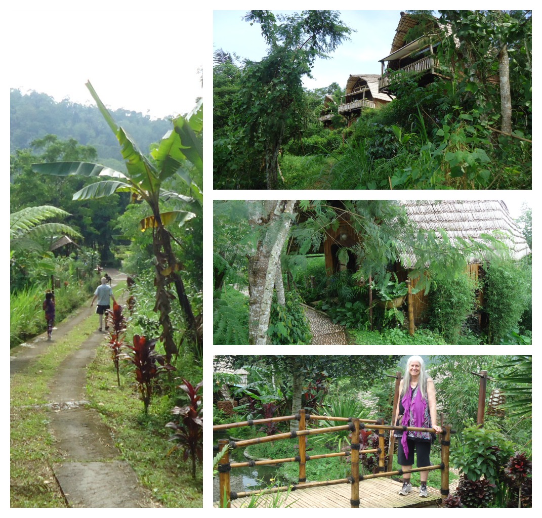 Ecovillage Collage
